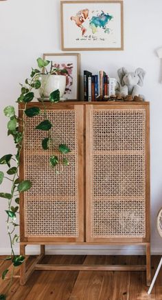 a wooden cabinet sitting next to a plant on top of a hard wood floored floor