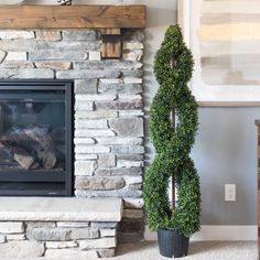 a fireplace with a potted plant next to it