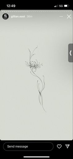 an iphone screen with a drawing of a flower on the left side and text that reads send message