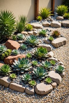 a garden with rocks and succulents in it