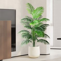 a potted plant sitting in front of a flat screen tv