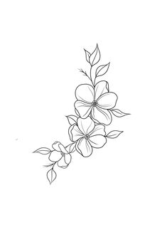 a line drawing of flowers on a white background