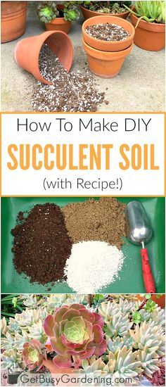 how to make diy succulent soil with recipe