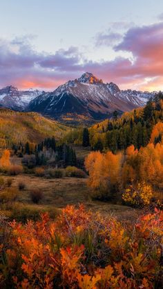 the mountains are covered in fall foliage and trees with snow on them, as the sun sets