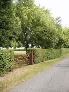 a wooden gate next to a lush green hedge on a country road in the countryside