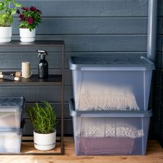 three plastic storage containers sitting on top of a wooden floor next to a shelf with potted plants