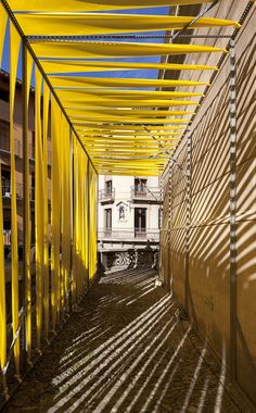 the shadows on the wall are cast onto the floor and walls, making it appear to be covered in yellow fabric