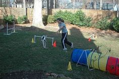 a woman is throwing a frisbee with her dog in the back yard,