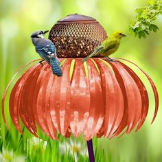 two birds sitting on top of a red flower in the middle of green grass and trees