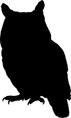 an owl silhouetted against a white background