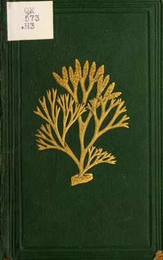 a green book with gold leaf designs on it