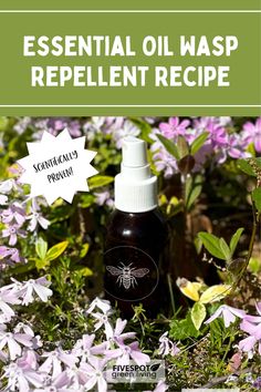 Essential Oil Wasp Repellent Recipe Natural Wasp Repellent, Wasp Deterrent, Bee Repellent, Wasp Spray, Wasp Repellent, Homemade Deodorant, Homemade Spice Blends, Citronella Oil, Bees And Wasps