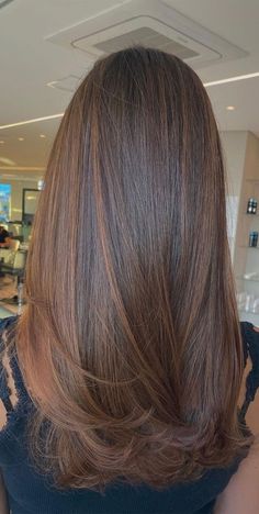 Brown Hair Color Shades, Brown Hair Looks, Brown Hair Inspo, Brown Hair Dye, Brunette Hair With Highlights, Hairstyles For Layered Hair, Long Hair Color, Hair With Highlights, Brown Hair Balayage