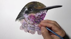 a person is drawing a hummingbird with colored pencils on paper and watercolor