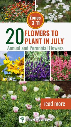 flowers to plant in july with the title zone 3 - 11 on it's cover