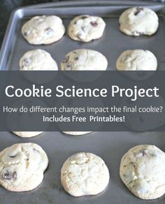 cookie science project how do different changes impact the final cookie? includes free printables