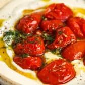 a white plate topped with sliced tomatoes covered in sauce