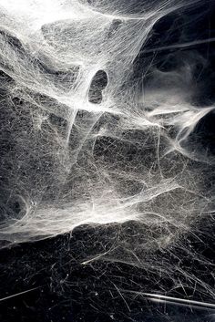 an image of some kind of spider web in black and white colors with light coming from it