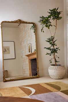 a large mirror sitting next to a potted plant on top of a rug in front of a fireplace