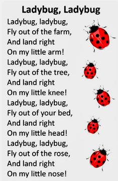 the ladybug poem is written in black and white with four red ladybugs