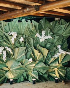 large green leaves with white flowers are stacked on top of each other in front of a wooden structure