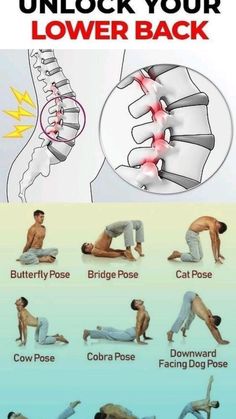 a poster showing how to use the lower back