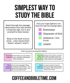 the simple guide to study the bible