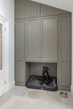 a black dog sitting in his bed under the cupboards on the side of the room