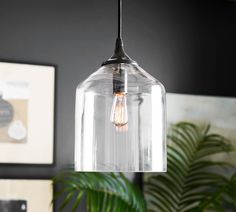 a clear glass light hanging from a ceiling fixture in a room with plants and pictures on the wall