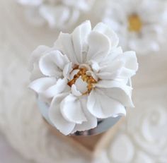 a white flower sitting on top of a table