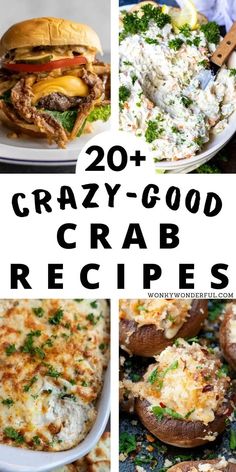 20 + crazy - good crab recipes that are easy to make and delicious for the whole family