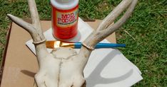 a deer's head with antlers, paint and glue sitting on top of a cardboard box