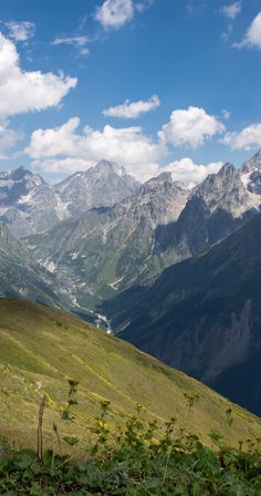 the mountains are covered with green grass and flowers in the foreground, under a blue sky with white clouds