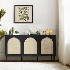 a black and white cabinet with plants on top in a room next to a potted plant