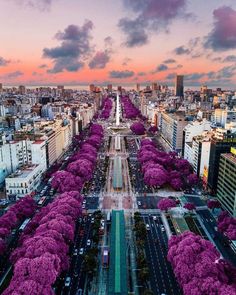 an aerial view of a city with trees in the foreground