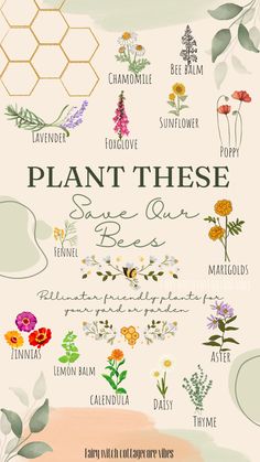 an illustrated poster with flowers and plants on it's sides, including the words plant these