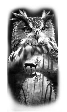 an owl is standing next to a deer in the woods with its eyes wide open