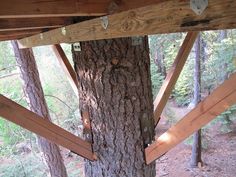 a wooden structure attached to a tree in the woods