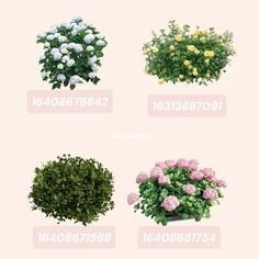 different types of flowers are shown in this graphic style, with the names below them