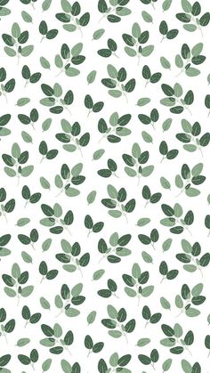 a white background with green leaves on it