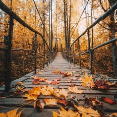 a wooden bridge surrounded by trees with leaves on the ground