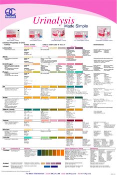 the ultimate guide to urinalysis made simple