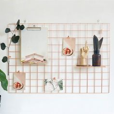 a white wall with some plants and pictures on it