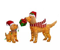 two dogs wearing christmas hats and sweaters with presents in their paws, standing next to each other