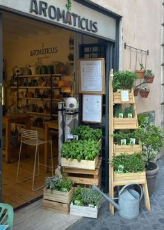 an assortment of plants in wooden planters on the outside of a store front window