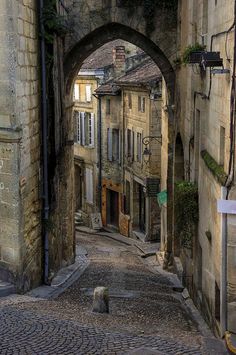 an alley way with stone buildings and cobblestone pavement in the middle, surrounded by trees