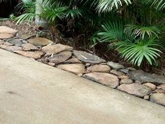 there is a stone wall in the middle of some plants and rocks on the ground