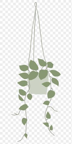 a hanging planter with green leaves on the top and bottom, transparent background png