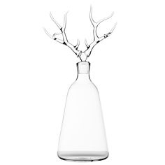 a clear glass vase with branches in it on a white background, the bottom half is empty