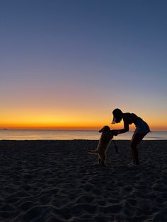 a woman is playing with her dog on the beach at sunset or sunrise, as the sun sets